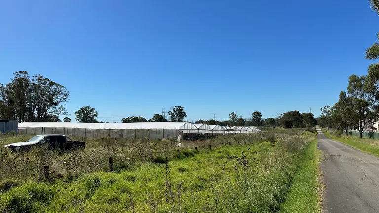 Market gardens at Austral, on Sydney's fast-growing south-west edge