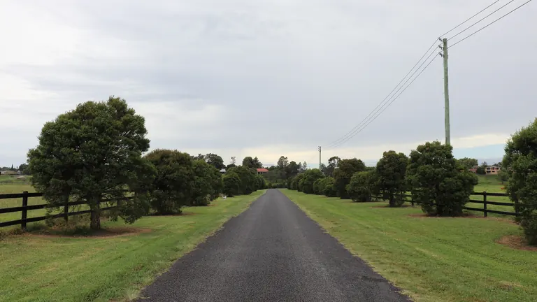 A country road through flat farmland on the Richmond Lowlands floodplain