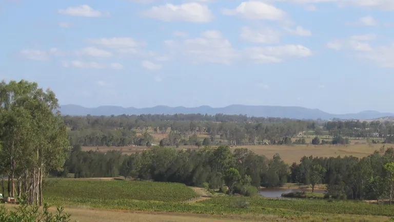 Fields, trees and a distant ridge in the Hunter Valley